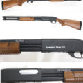 STSPG06