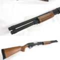STSPG06