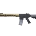 vfc-urgi-gbb
