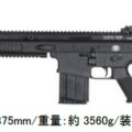 AR-FN-SCAR-H-DE